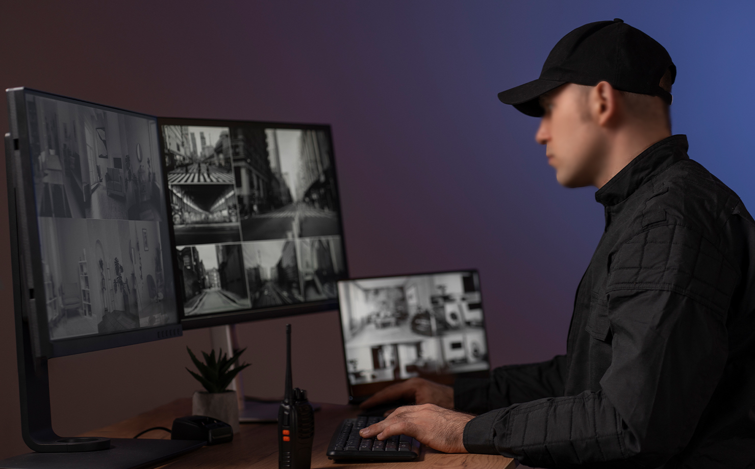 Systèmes d\'alarme & Télésurveillance
